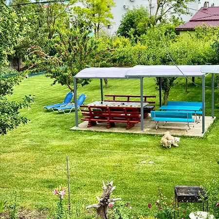 Cosmin Homestay *